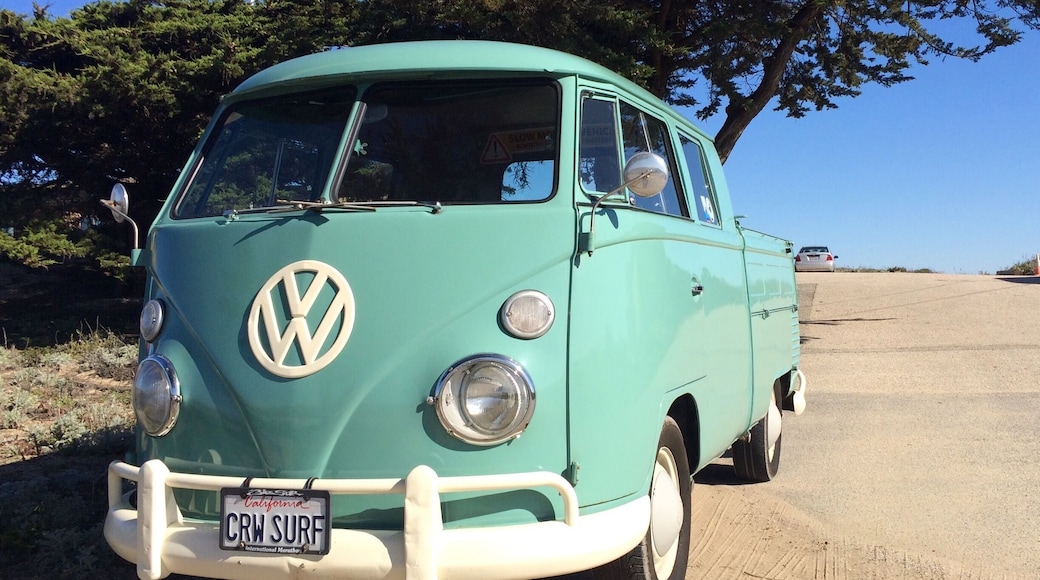 It's snowy plover nesting season! Walked the beach from Ft. Ord Dunes to Reservation Road.
A beautiful day to live in California!