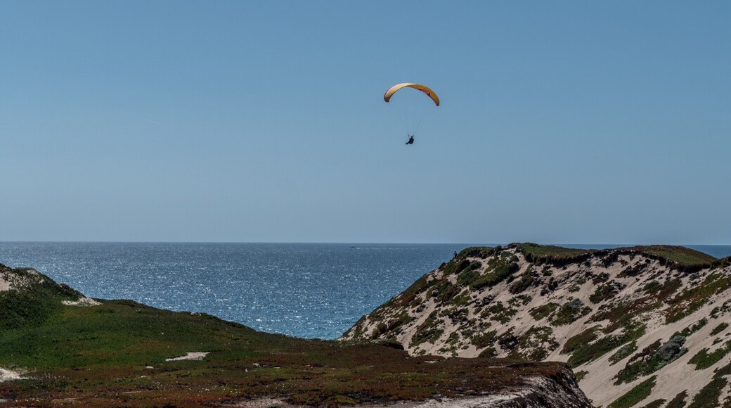 Colorful long stretched sand dunes featuring a lot of parachutes.
#beach #beaches #roadtrip #california