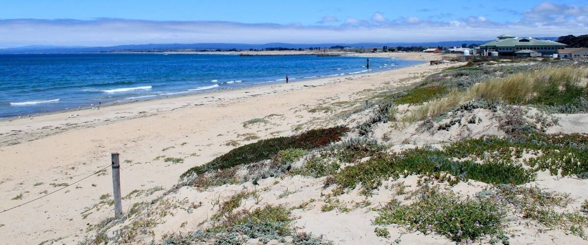 The beach and dunes at Salinas River State Beach are part of Monterey Bay’s unique coastal dune system and it is home to many species of birds, including the California brown pelican, red-tailed hawk, American kestrel, western snowy plover, western gull, black phoebe, western scrub-jay, California towhee, white-crowned sparrow, and more.  The beach is a popular fishing site.
