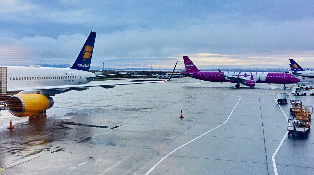 💥Breaking News: I will fly to Iceland tomorrow but just learned that Iceland’s WOW Air collapses and cancelling all flights!
#Iceland #airport
