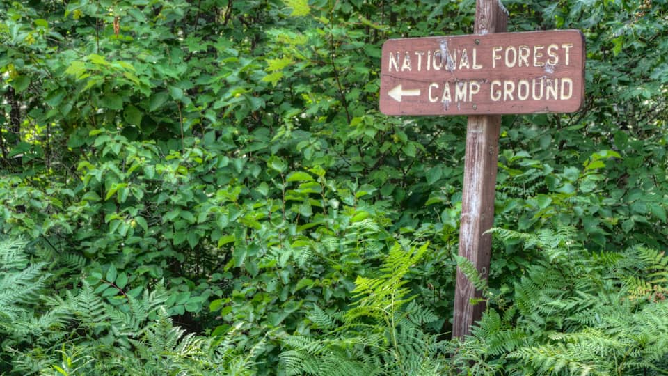 Chequamegon-Nicolet National Forest in Northern Wisconsin
