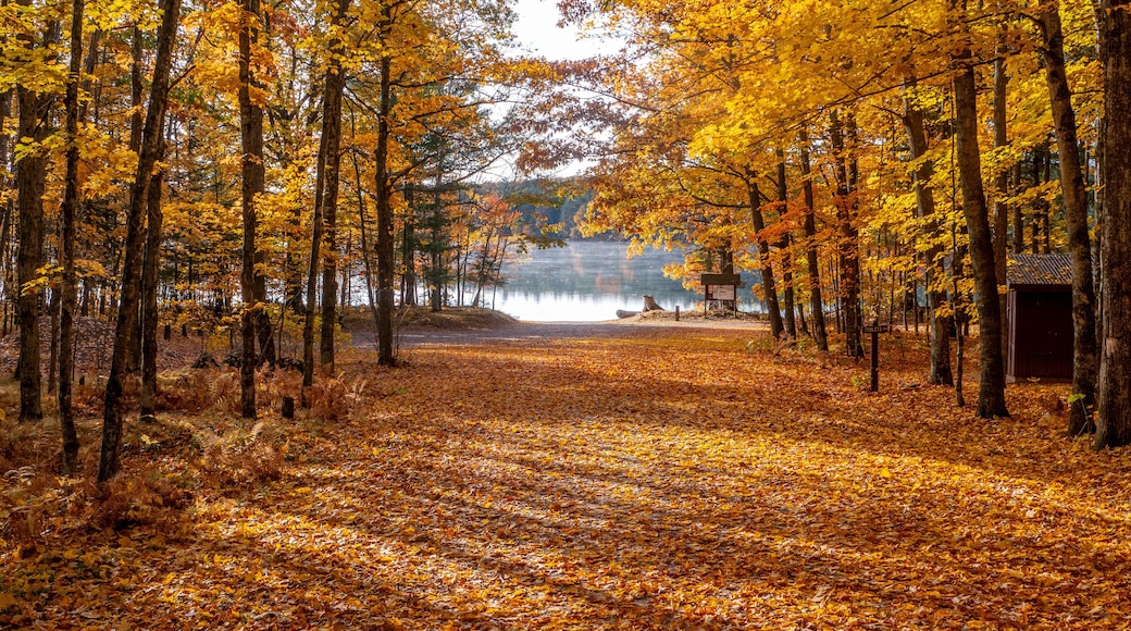 The Essence of Autumn