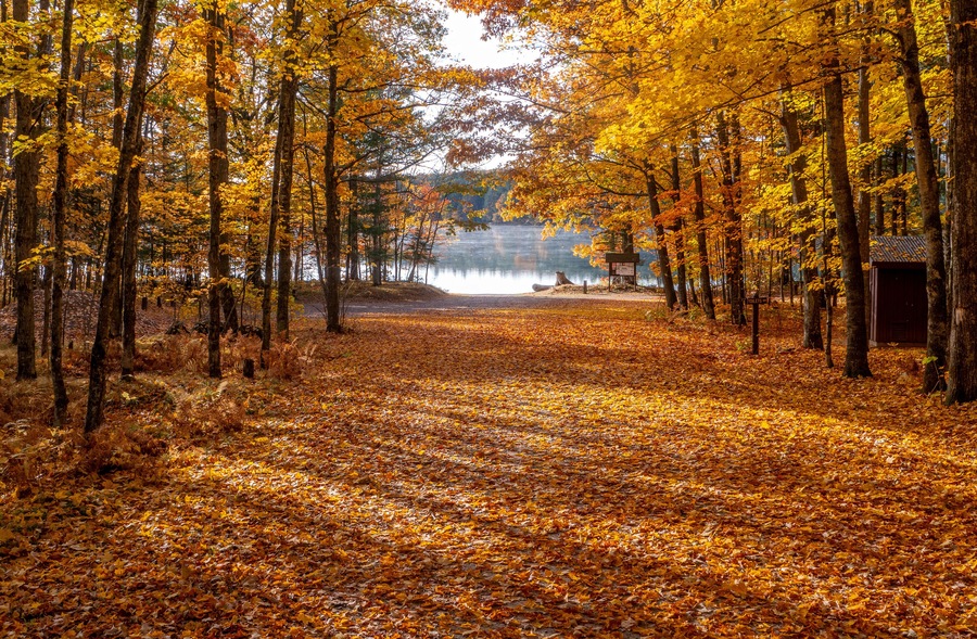 The Essence of Autumn