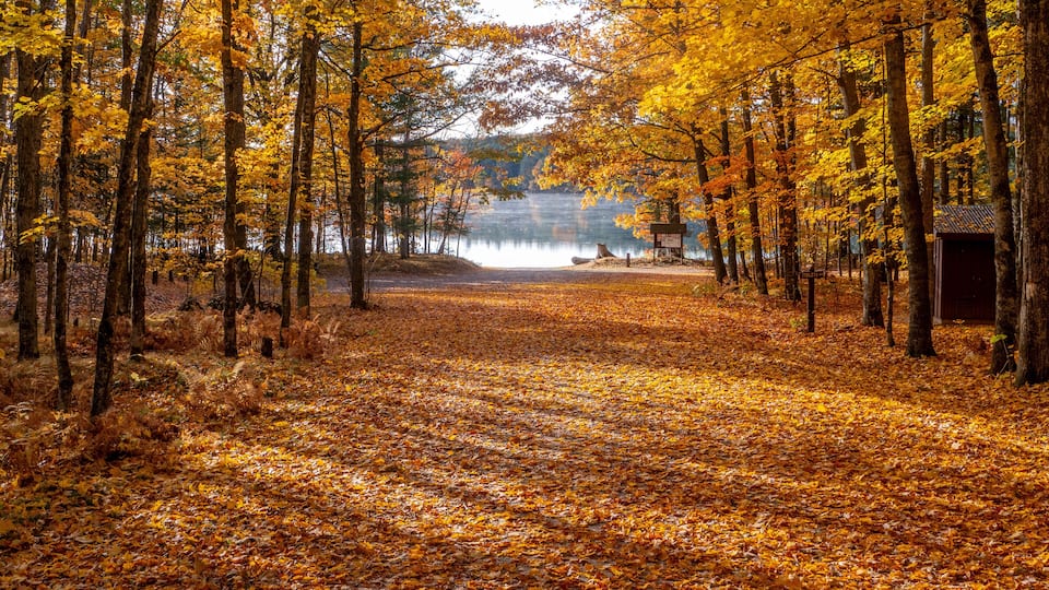 The Essence of Autumn