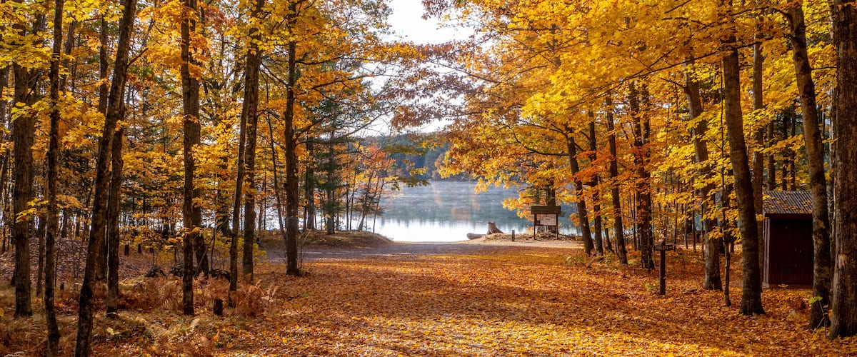 The Essence of Autumn