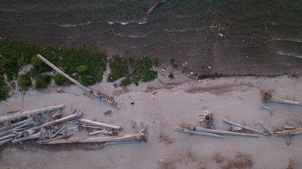 A beach with driftwood and a line of people.