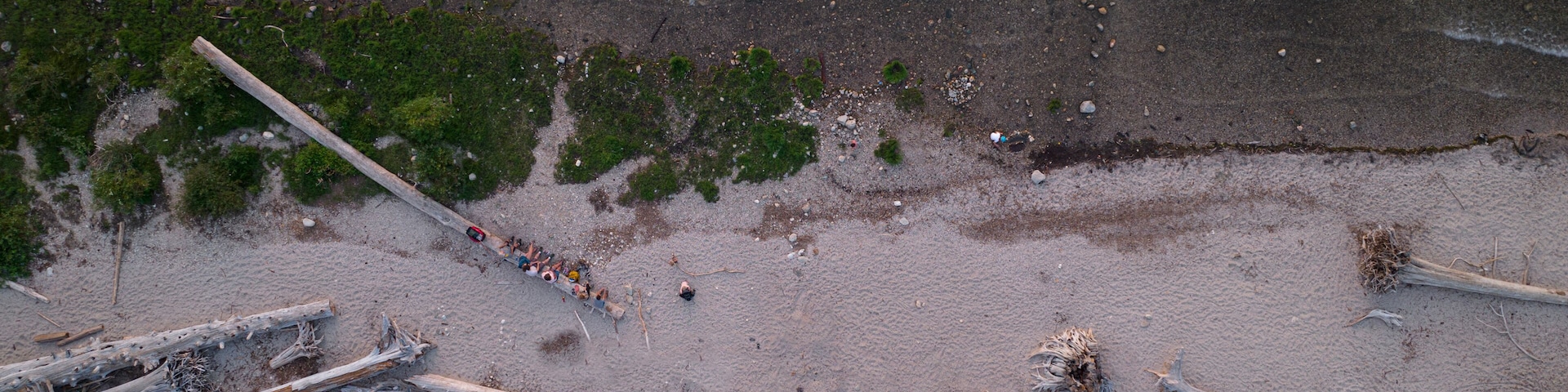 A beach with driftwood and a line of people.