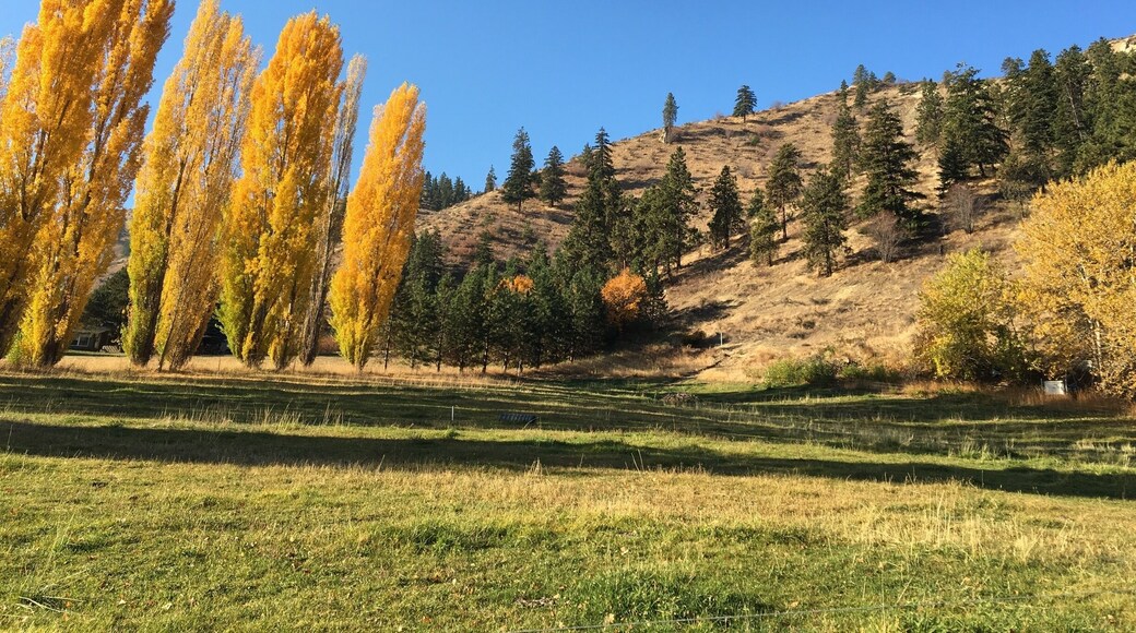 Rented out the coolest little farmhouse in Cashmere during Leavenworth Oktoberfest