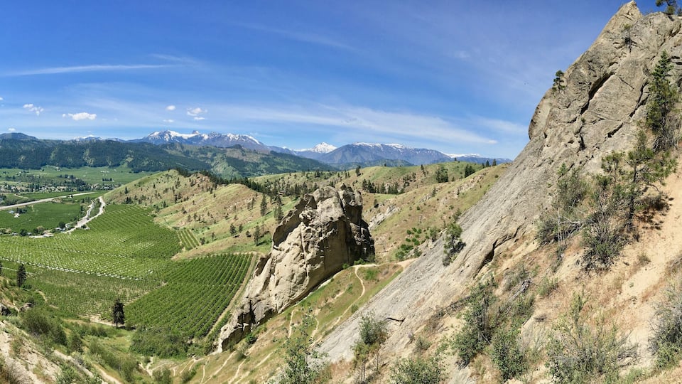 A mountainous landscape with vineyards, a clear sky, and distant snow-capped mountains.