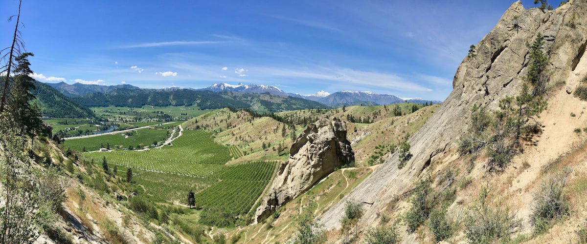 A mountainous landscape with vineyards, a clear sky, and distant snow-capped mountains.