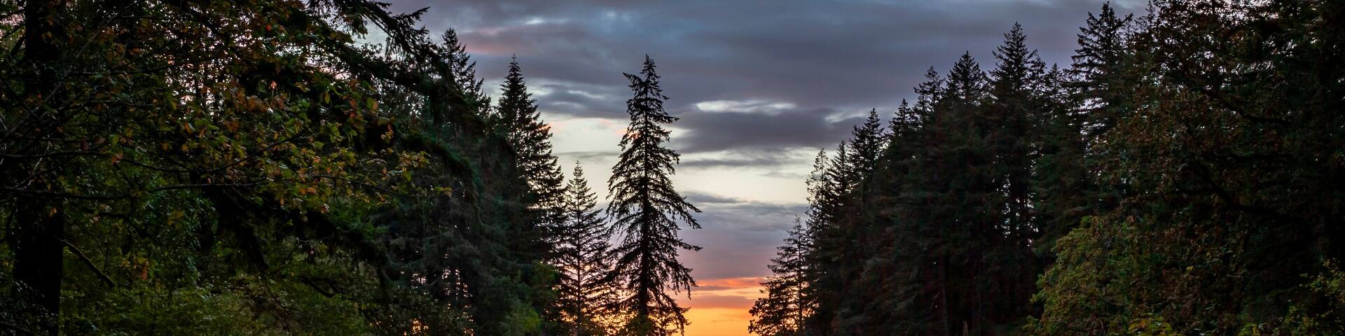 Beautiful dramatic sky and sunset reflection in calm water of The Lacamas Lake in Washington State