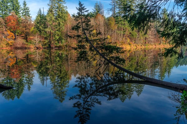 LaCamas Creek Loop and Lake, Camas, Washington