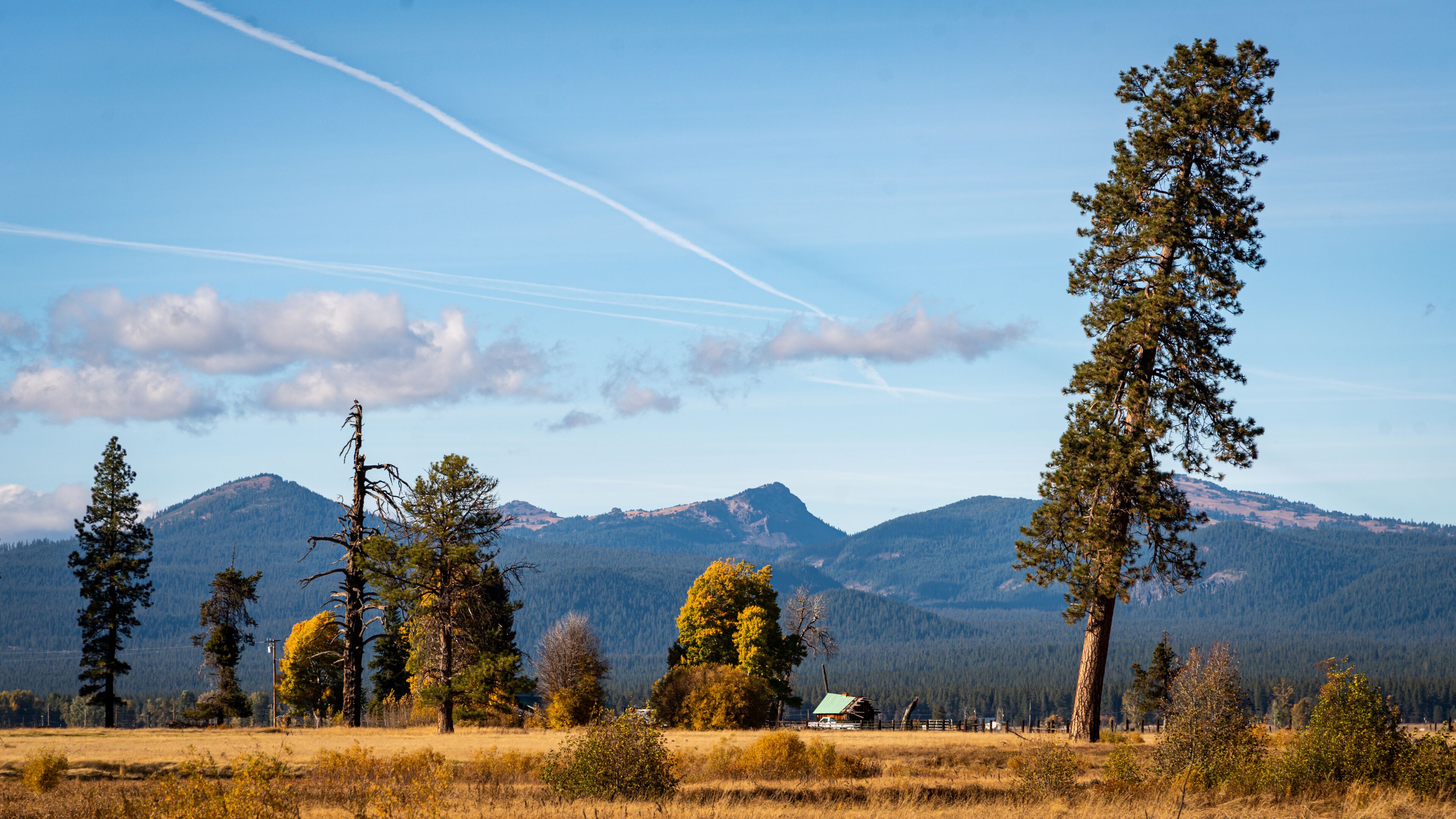 Landscape in front of the mountains of Crater Lake
