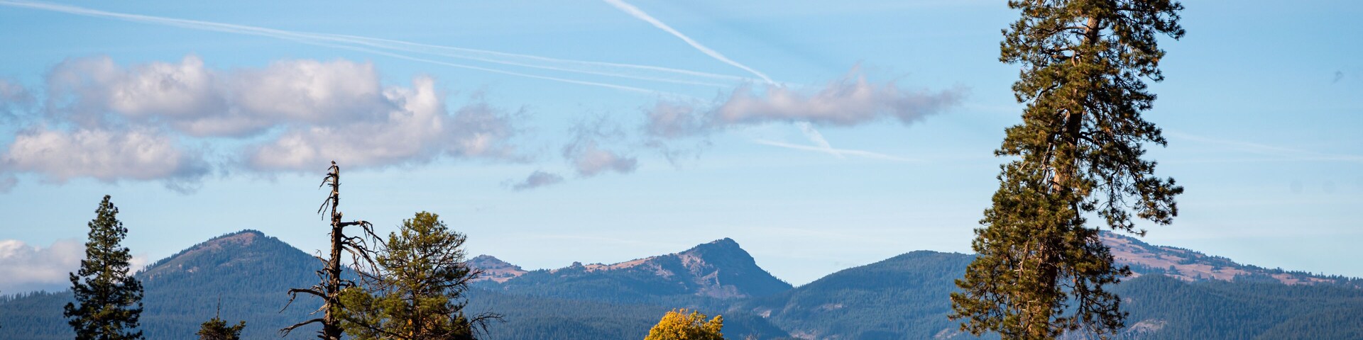 Landscape in front of the mountains of Crater Lake
