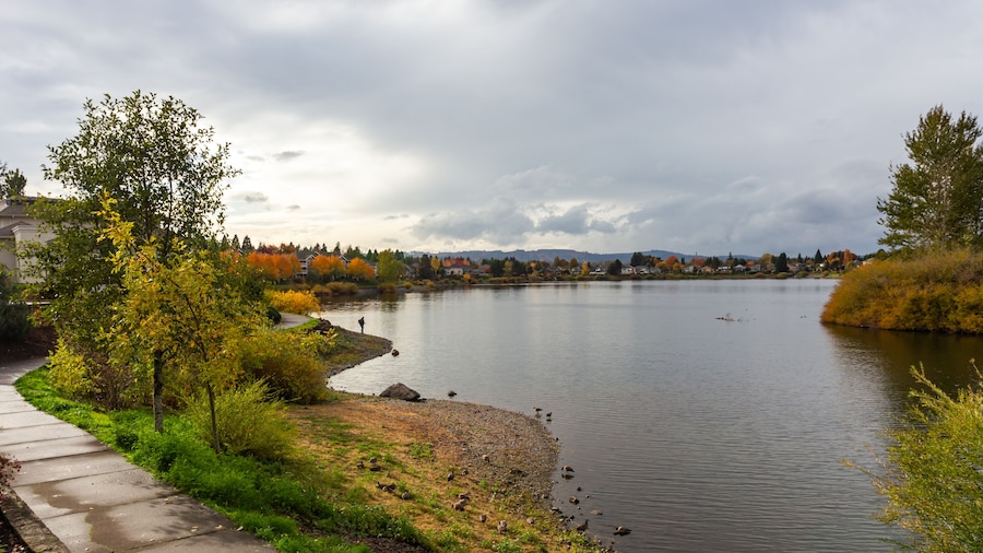 Lonely figure of a fisherman on the private Staats lake in Oregon