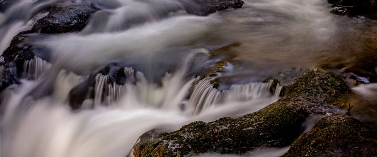 McDowell Creek Lebanon Oregon Cascade Range Forest