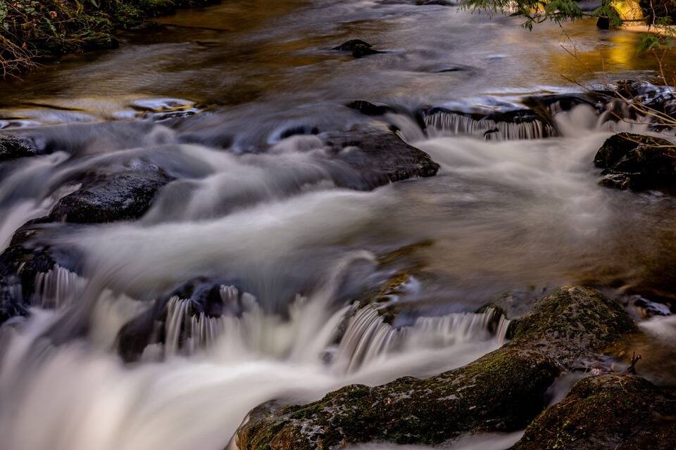 Un ruisseau aux eaux vives, bordé de rochers et de mousse.
