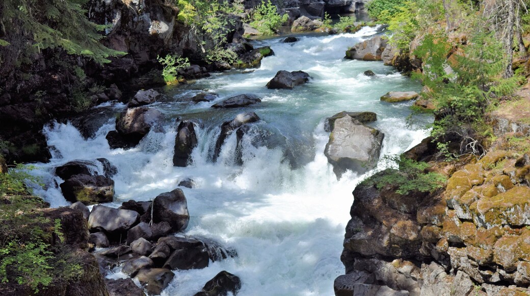 Rogue River, Oregon, Rushes Through the Natural Bridge Area