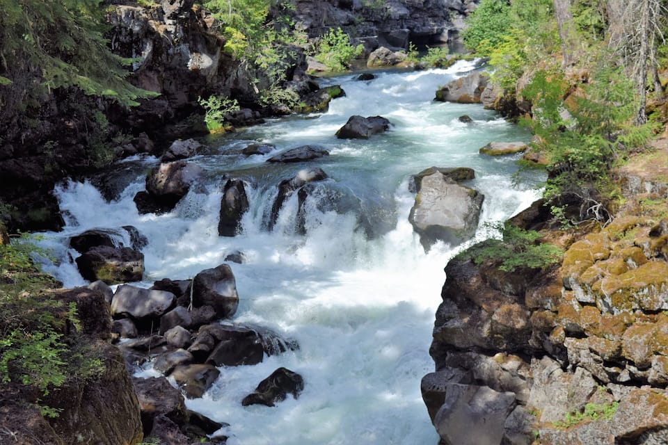 A fast-flowing river with rocky rapids surrounded by dense forest.