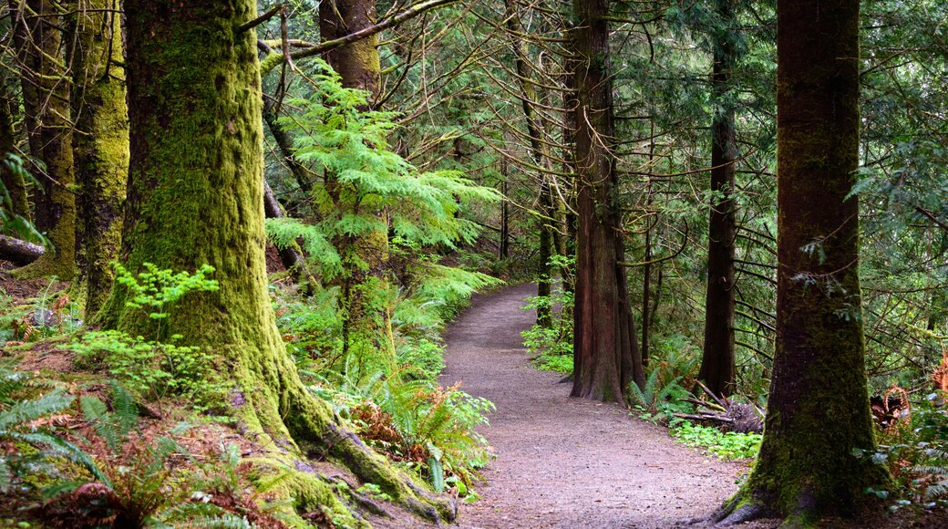 Browns Landing State Park