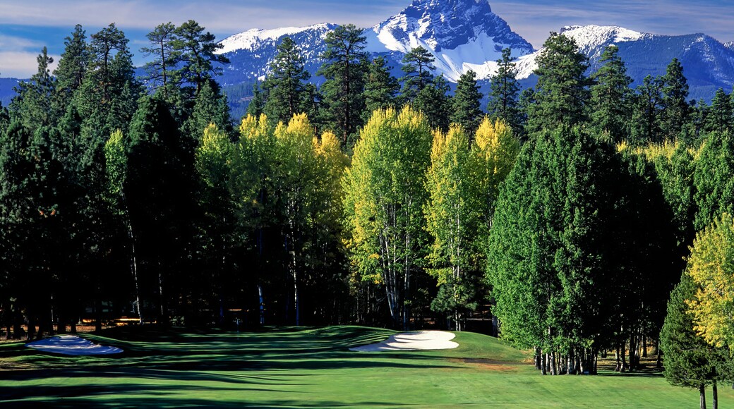 Big meadow golf course and three fingered Jack mountain, near Sisters Oregon