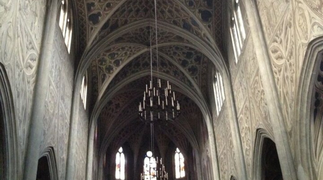 Cathedrale Saint-Francois-De-Sales in Chambery. The ceilings look like they are covered in very detailed carvings, but they are intact just painted.