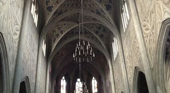 Cathedrale Saint-Francois-De-Sales in Chambery. The ceilings look like they are covered in very detailed carvings, but they are intact just painted.