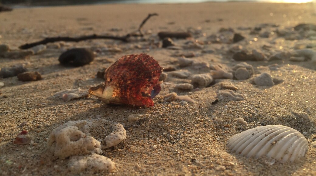 Im in love with this beachâ€ïžâ€ïžâ€ïž