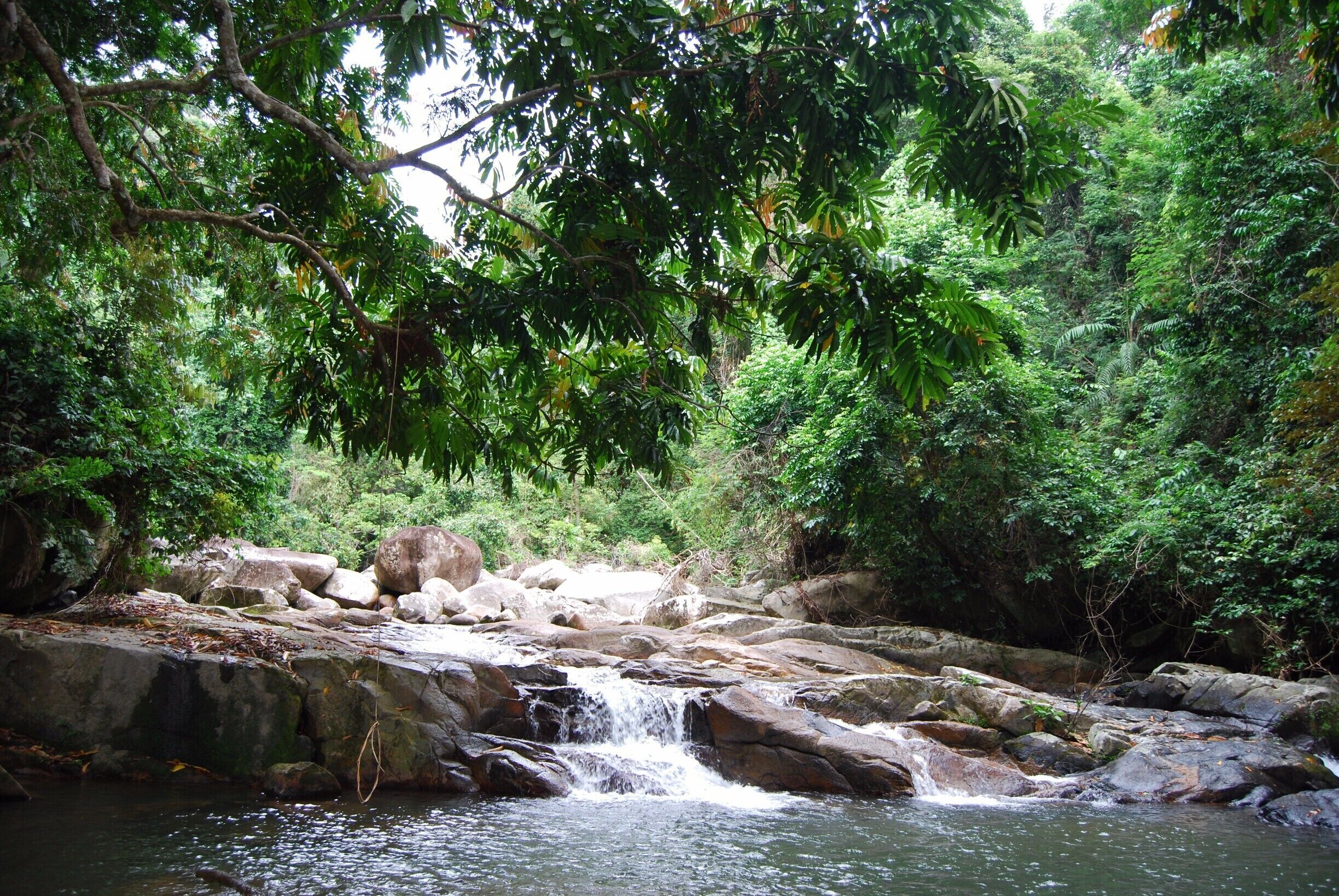 This small waterfall and swimming hole are near the southern end of Juara Bay on Tioman Island. If you are not familiar with the area you should get a guide to take you as the jungle is thick and the path is not defined very well. It is a great place to cool off - the water is actually really cold - but a great refresher after hiking to it. Gorgeous, secluded, and peaceful! #waterlust