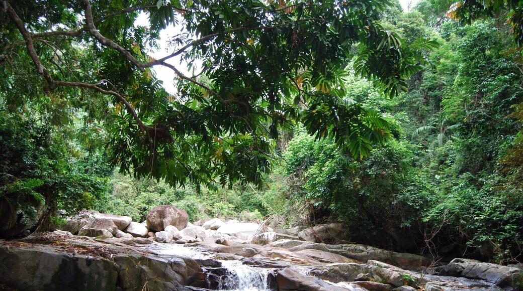 This small waterfall and swimming hole are near the southern end of Juara Bay on Tioman Island. If you are not familiar with the area you should get a guide to take you as the jungle is thick and the path is not defined very well. It is a great place to cool off - the water is actually really cold - but a great refresher after hiking to it. Gorgeous, secluded, and peaceful! #waterlust
