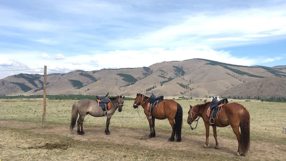 Many visitors to Mongolia go to Terelj National Park which is amazing and just an hour out of Ulaanbaatar. But you'd be better off going three hours out and seeing nomadic life in the real. This is in Khentii Protected Area.