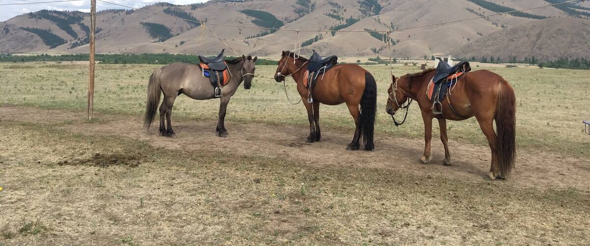 Many visitors to Mongolia go to Terelj National Park which is amazing and just an hour out of Ulaanbaatar. But you'd be better off going three hours out and seeing nomadic life in the real. This is in Khentii Protected Area.