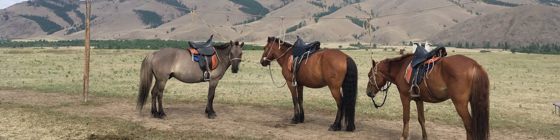 Many visitors to Mongolia go to Terelj National Park which is amazing and just an hour out of Ulaanbaatar. But you'd be better off going three hours out and seeing nomadic life in the real. This is in Khentii Protected Area.