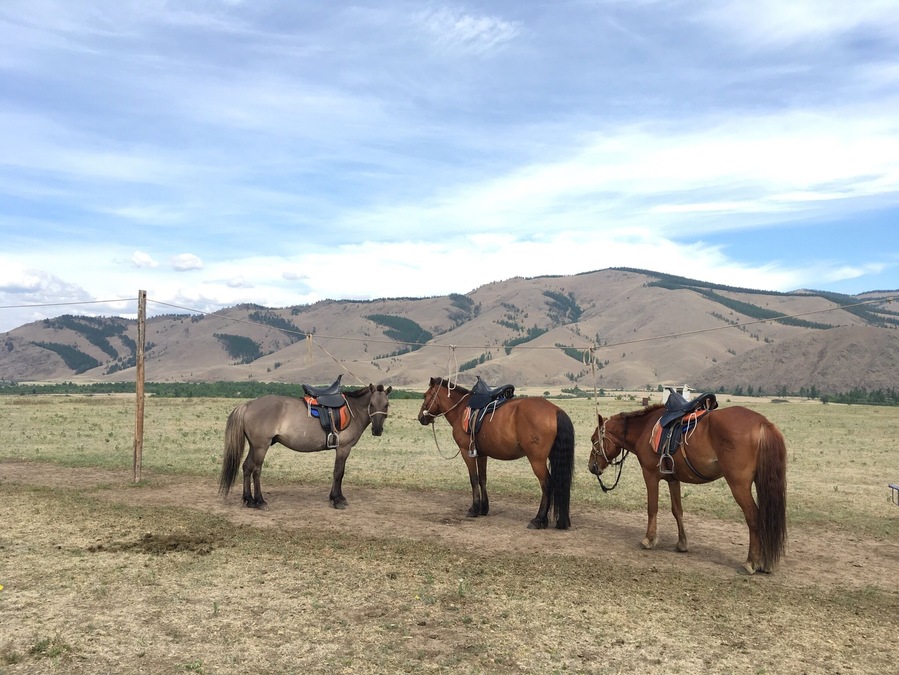 Many visitors to Mongolia go to Terelj National Park which is amazing and just an hour out of Ulaanbaatar. But you'd be better off going three hours out and seeing nomadic life in the real. This is in Khentii Protected Area.