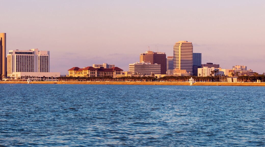 ดาวน์ทาวน์คอร์ปัสคริสติ