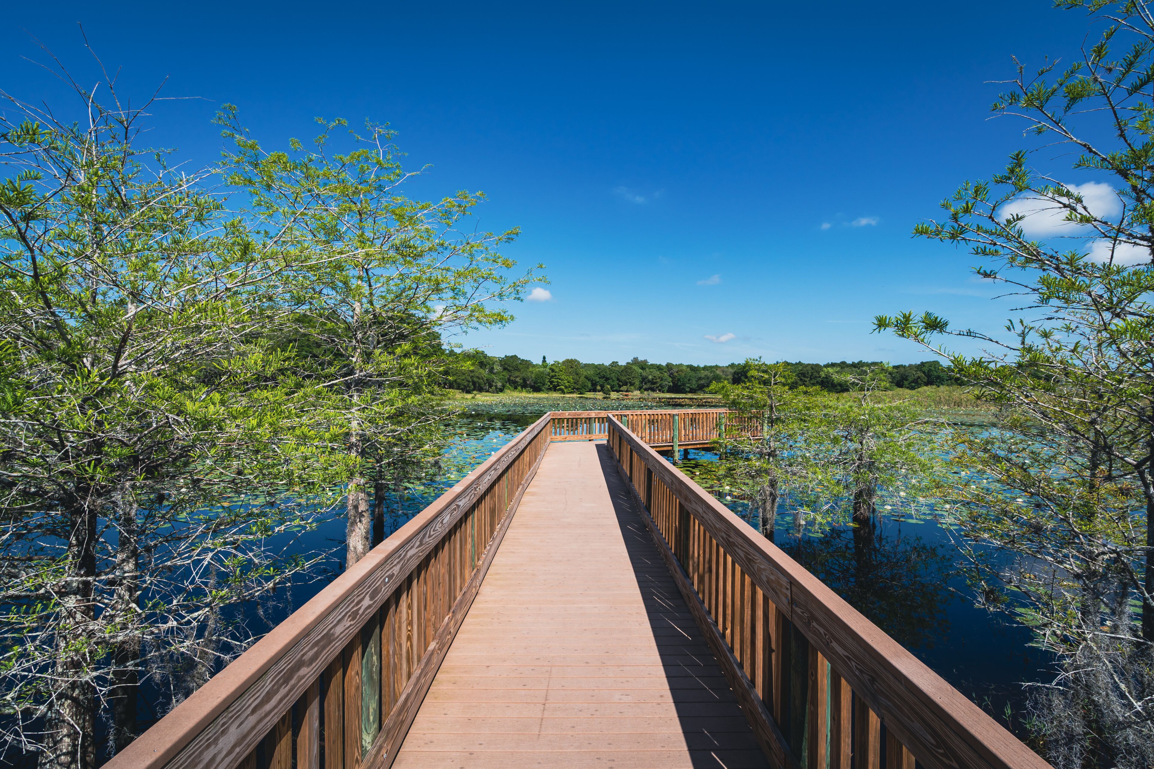 Lake Hodge Park boardwalk in Casselberry, small town near Orlando, Florida