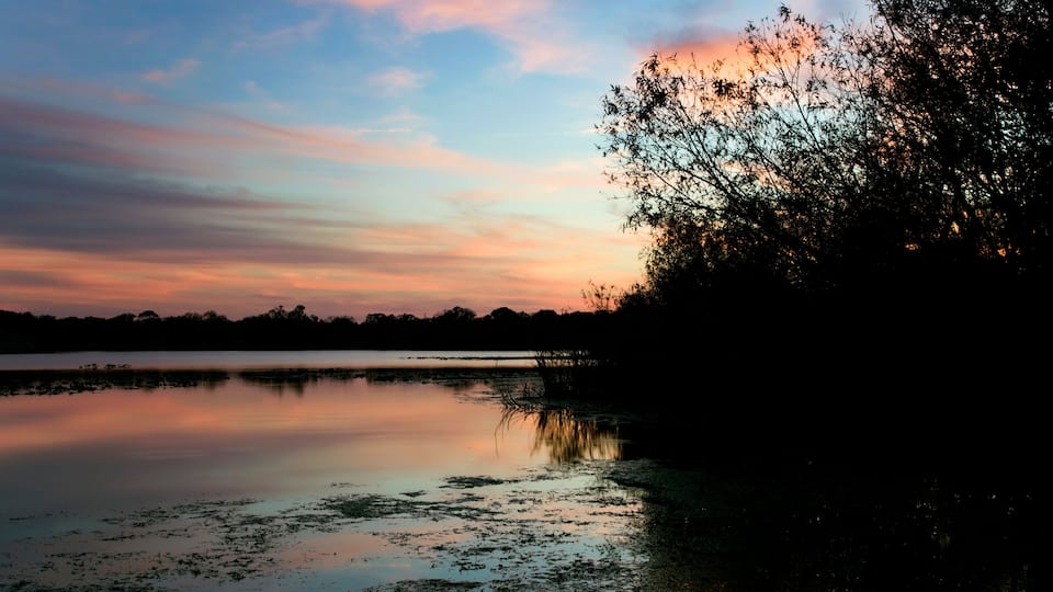 A sunset over a calm lake with a tree silhouetted against the sky.