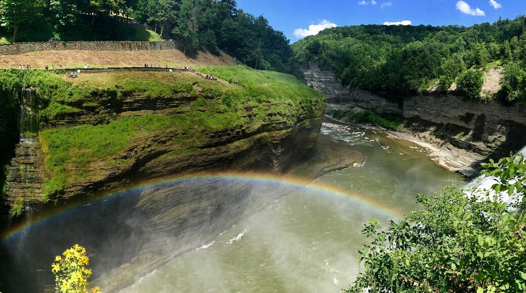 Letchworth State Park near Geneseo/ Rochester, NY. So many waterfalls!