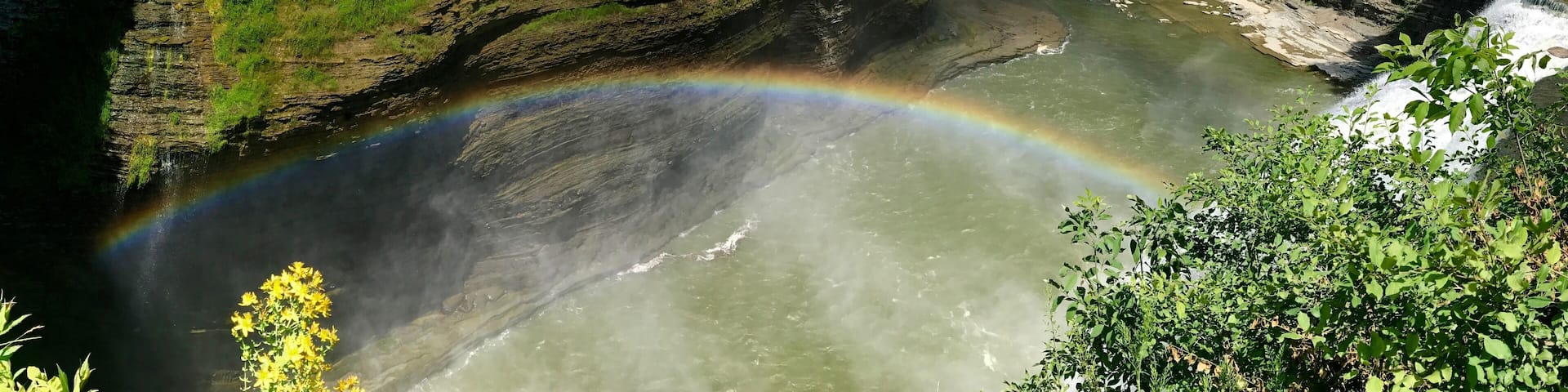 Letchworth State Park near Geneseo/ Rochester, NY. So many waterfalls!