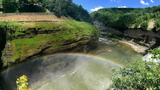 Letchworth State Park near Geneseo/ Rochester, NY. So many waterfalls!