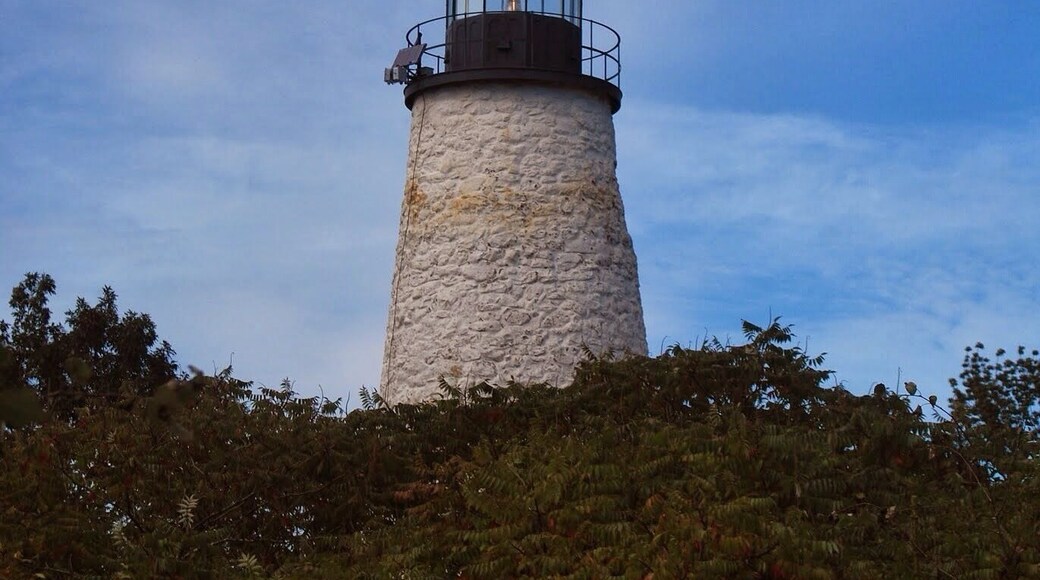 Walk down to the shore and watch the cadets from Castine training on the water