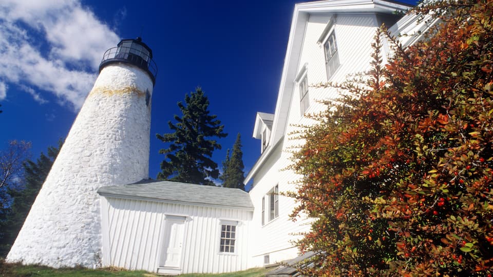 A white lighthouse with a black top, a white building with a sloped roof, and a bush with red leaves.