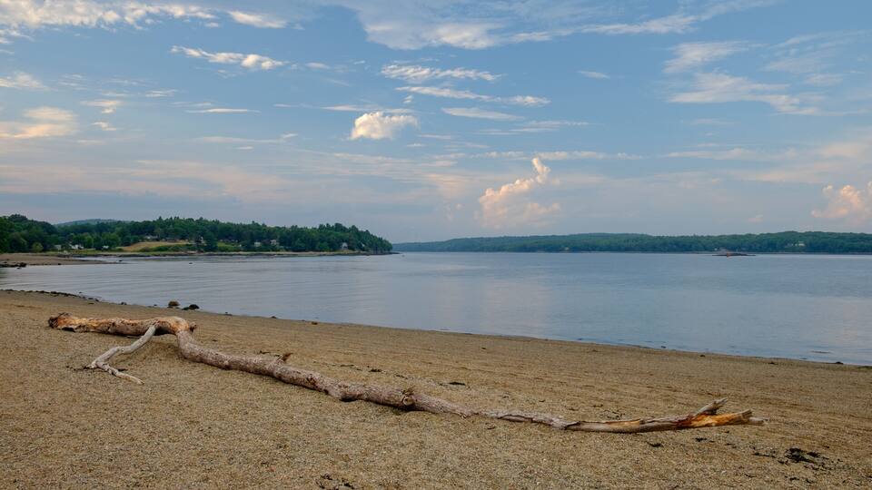 A calm lake with a fallen tree on the shore, surrounded by hills and a clear sky.