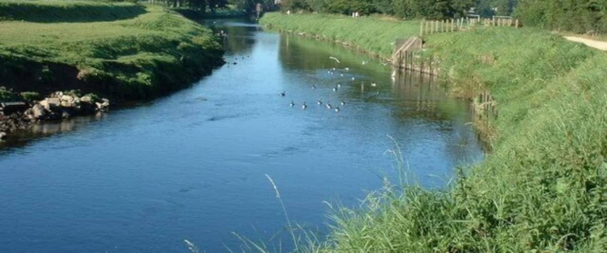 A calm river with ducks, surrounded by green fields and trees.