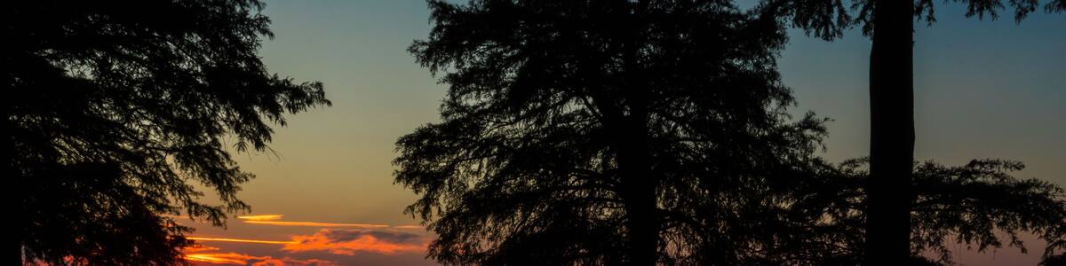 Sunset on Reelfoot Lake in Reelfoot Lake State Park in Tennessee.