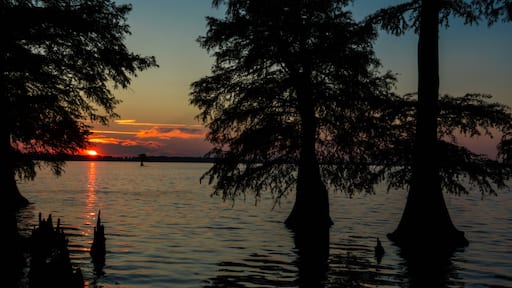 Sunset on Reelfoot Lake in Reelfoot Lake State Park in Tennessee.