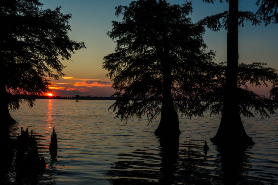 Sunset on Reelfoot Lake in Reelfoot Lake State Park in Tennessee.