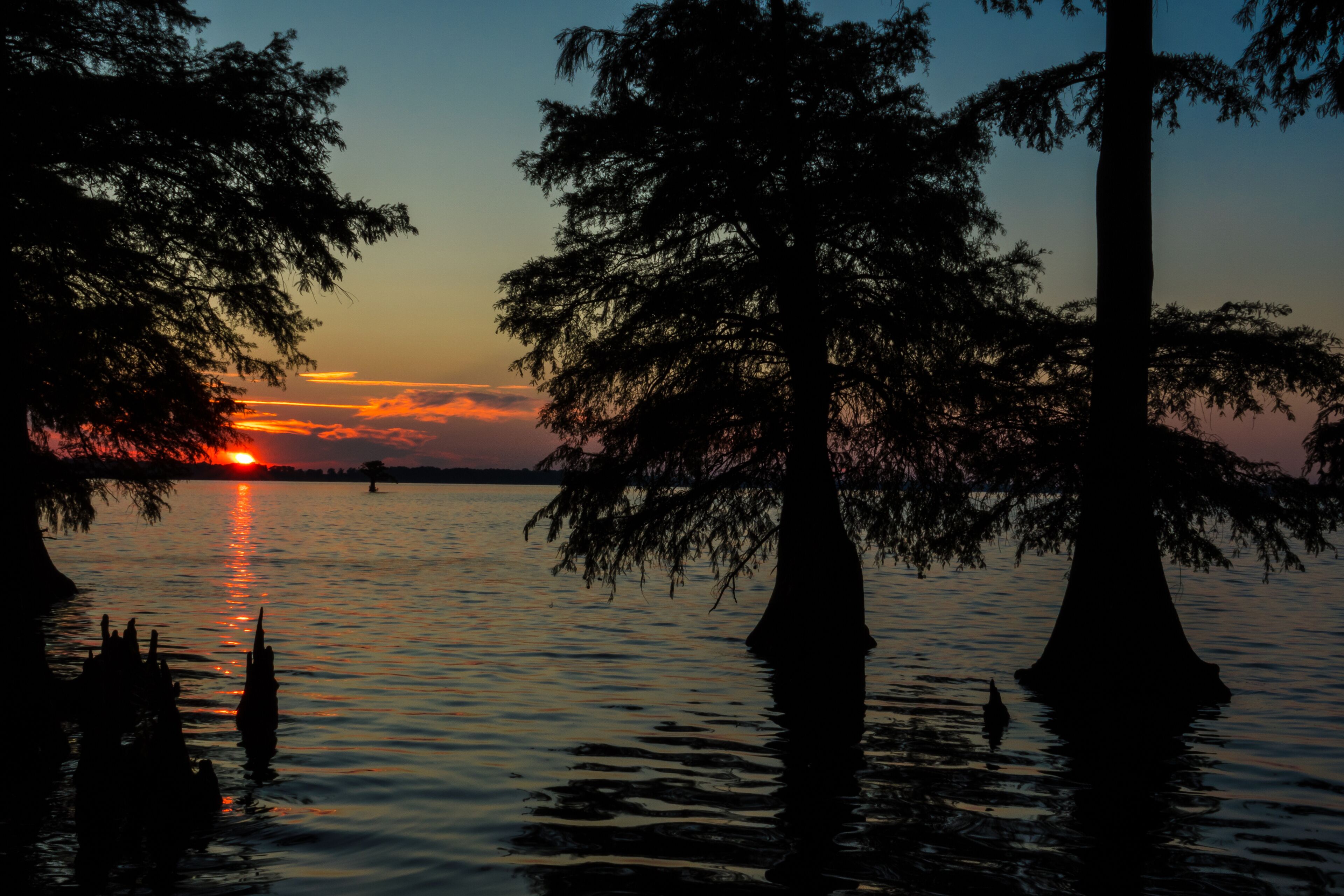 A sunset over a calm lake with silhouetted trees.