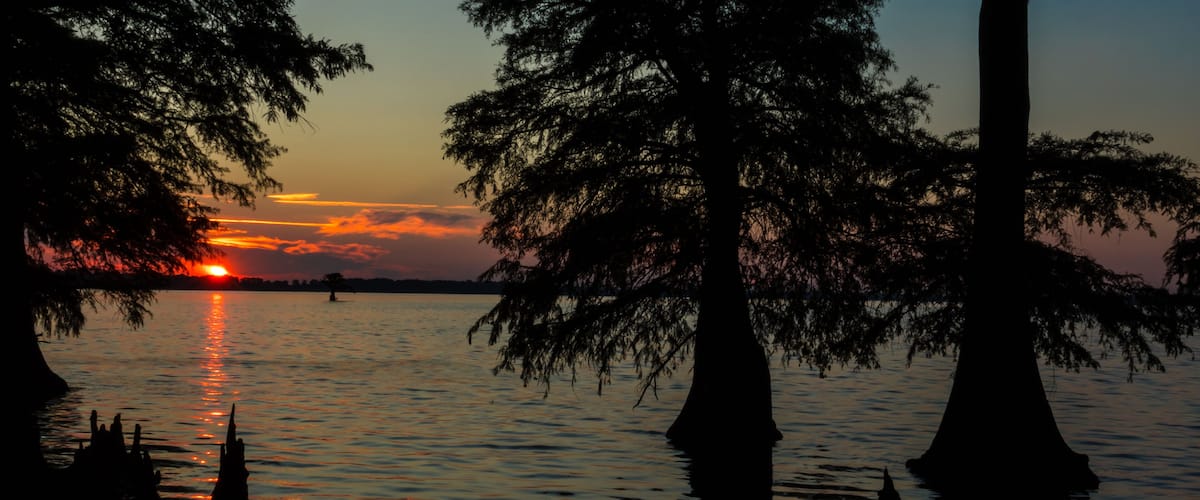 A sunset over a calm lake with silhouetted trees.