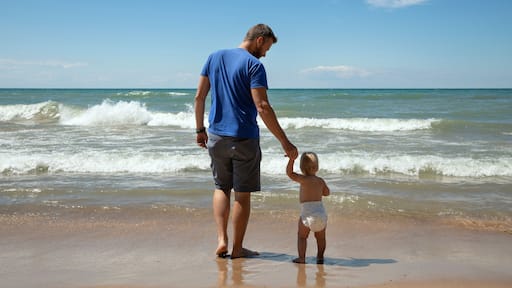 Father and 1 year old daughter at Indiana Dunes National Park in the summer gazing at Lake Michigan's waves